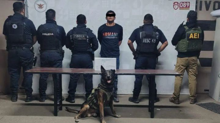 Violencia familiar extrema en Mexicali: Hijo mantiene cautiva a su madre y la amenaza de muerte