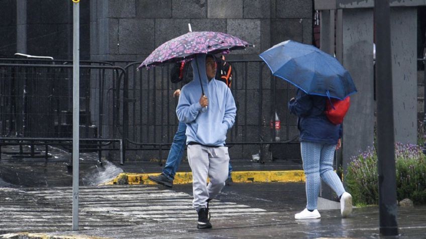 Clima en México HOY 18 de enero: Frente Frío 29 traerá lluvias intensas y frío extremo