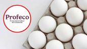 Foto ilustrativa de la nota titulada: Profeco realiza comparativa del precio del huevo y revela dónde es más BARATO; aquí los detalles