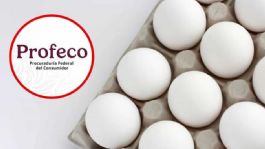 Foto que representa a Profeco realiza comparativa del precio del huevo y revela dónde es más BARATO; aquí los detalles