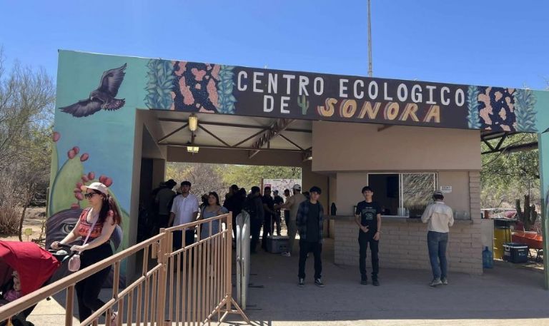 ¡Nadie se lo quiere perder! Más de 11 mil personas visitan el Centro Ecológico de Sonora para conocer al capibara