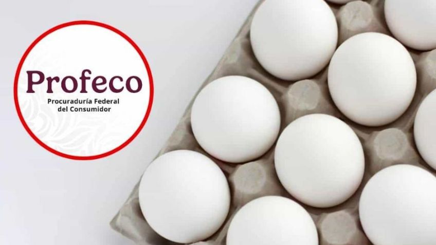 Profeco realiza comparativa del precio del huevo y revela dónde es más BARATO; aquí los detalles