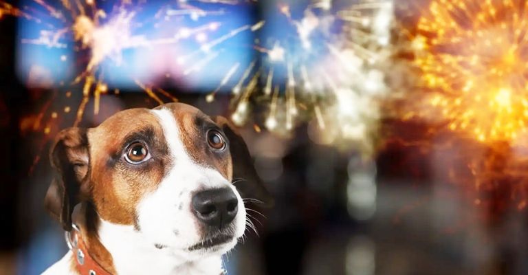 Cajeme registra fuerte reducción de incidentes por juegos pirotécnicos en fiestas decembrinas 2025