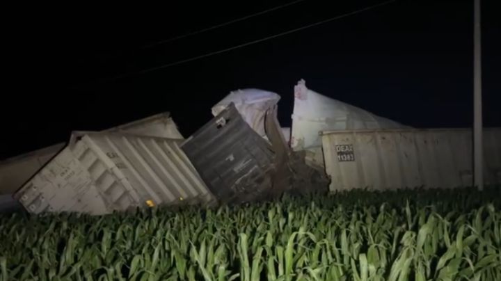 Tren de carga sale de las vías en Maquipo, Sinaloa; vagones terminaron en una siembra de maíz