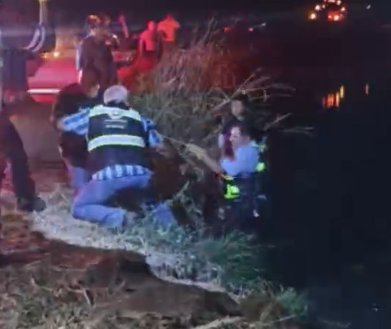 El pequeño Aarón fue llevado a tierra firme sin contratiempos