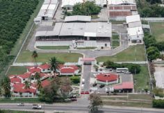 Foto ilustrativa de nota Avanza al 50% planta de moscas estériles en Chiapas para control de plaga del gusano barrenador