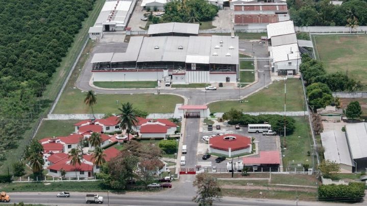 Avanza al 50% planta de moscas estériles en Chiapas para control de plaga del gusano barrenador