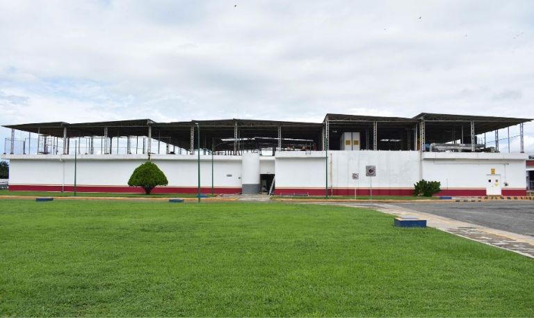 Avanza al 50% planta productora de moscas estériles en Chiapas para control de plaga del gusano barrenador