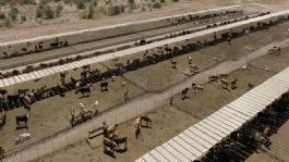 Foto que representa a Alfonso Durazo y UGRS logran alianza para parque industrial y modernización ganadera; se invertirán más de 800 mdp