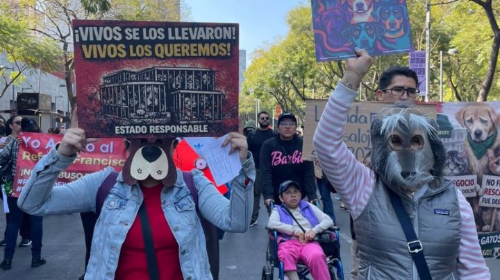 Tráfico en CDMX: Se espera caos por marchas y bloqueos este 25 de enero en la capital