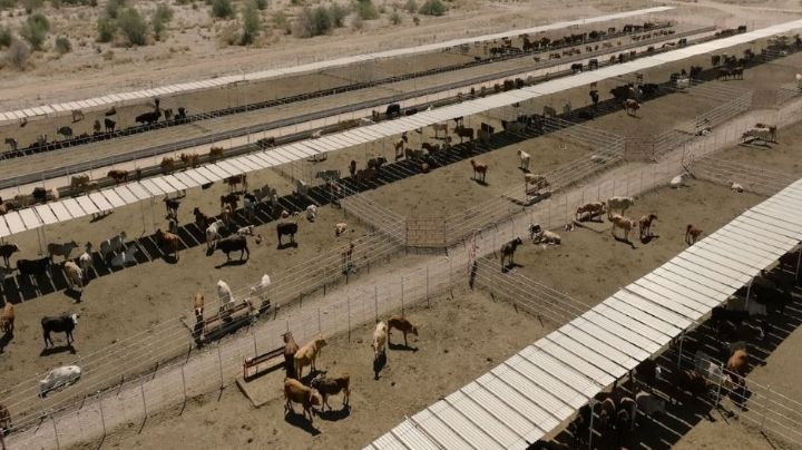 Alfonso Durazo y UGRS logran alianza para parque industrial y modernización ganadera; se invertirán más de 800 mdp