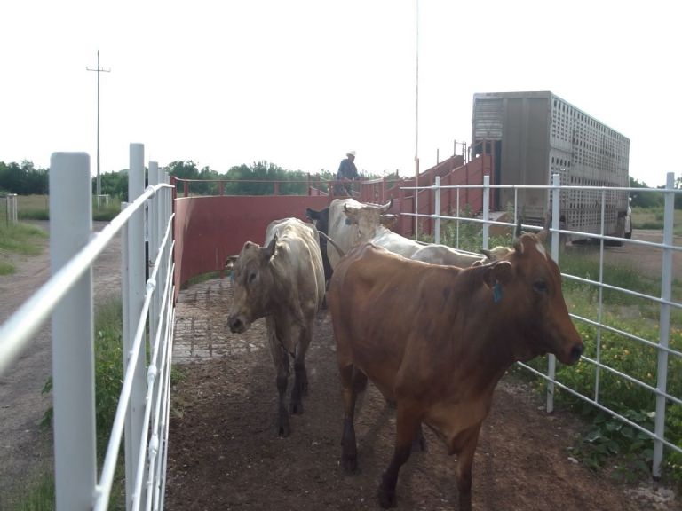 Alfonso Durazo y UGRS logran alianza para parque industrial y modernización ganadera; se invertirán más de 800 mdp