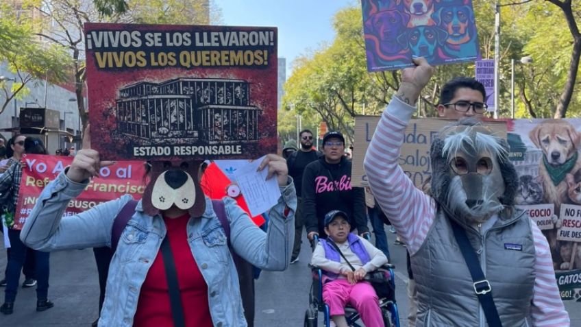 Tráfico en CDMX: Se espera caos por marchas y bloqueos este 25 de enero en la capital