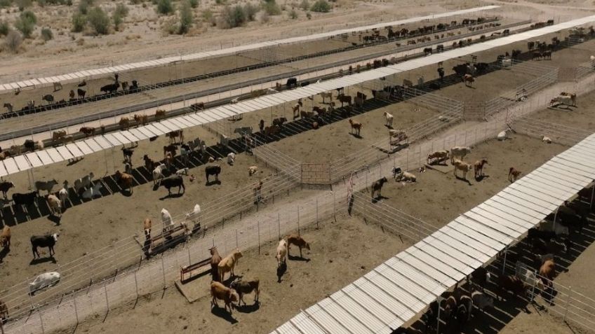 Alfonso Durazo y UGRS logran alianza para parque industrial y modernización ganadera; se invertirán más de 800 mdp