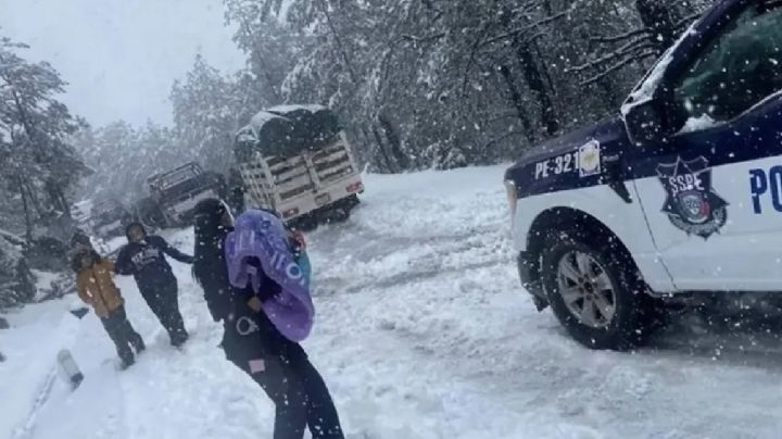 Estuvieron a punto de morir CONGELADOS: Rescatan a familia varada en carretera de Chihuahua
