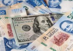 Foto ilustrativa de nota Precio del dólar en México HOY miércoles 28 de enero de 2026: Tipo de cambio actual