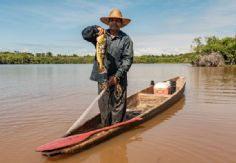 Foto ilustrativa de nota Febrero inicia con periodo de veda: Restringen captura de siete especies marinas en 10 estados del país