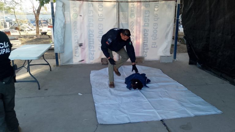 Se encuentra en una veterinaria 