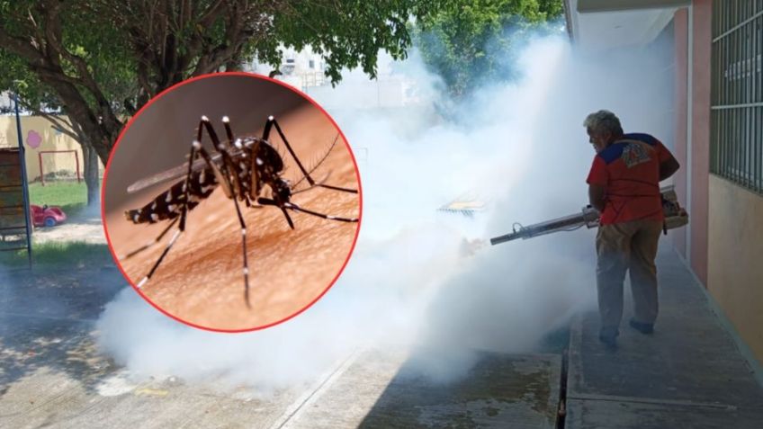Tras recientes lluvias, Salud Sonora llama a la población a reforzar medidas contra el dengue