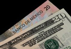 Foto ilustrativa de nota Precio del dólar HOY sábado 21 de febrero de 2026 en México: Conoce cuál es el tipo de cambio