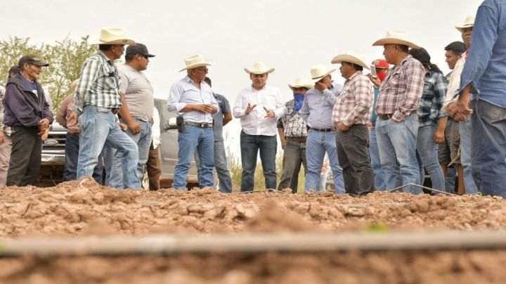 Alfonso Durazo destaca aumento en el crecimiento económico en Sonora durante el tercer trimestre de 2025