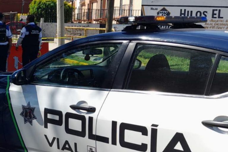 No lograron salvarles la vida 