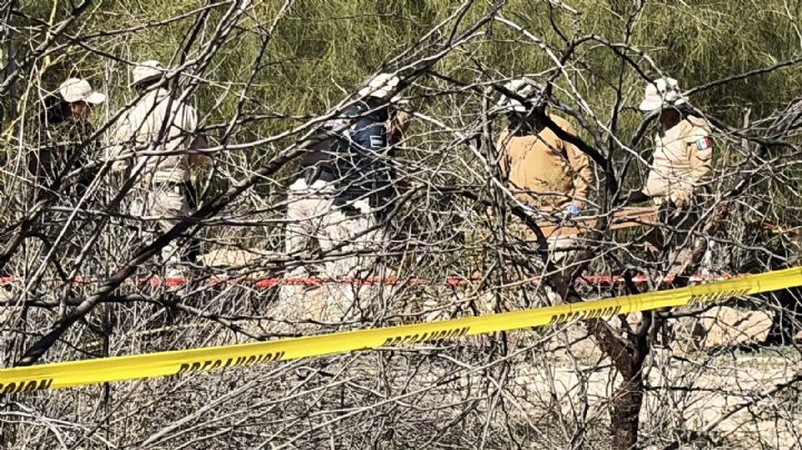 Encuentran 12 fosas clandestinas con 24 cuerpos en los límites de Baja California y Sonora