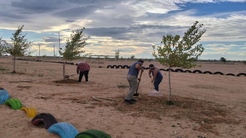 Recuperan espacios en San Luis Río Colorado con Jornada Permanente por la Paz