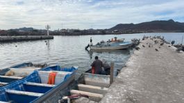 Foto que representa a Ribereños de Guaymas y Empalme ven un mal panorama en el sector pesquero para este 2026