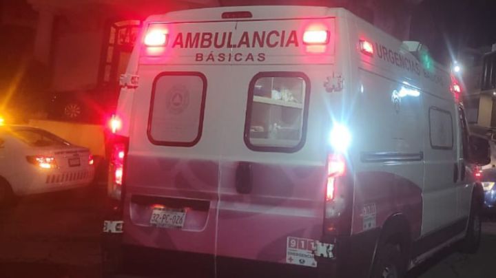Ataque mortal en Zacatecas: Pitbull mata a niño de cinco años con mordidas en cuello y rostro