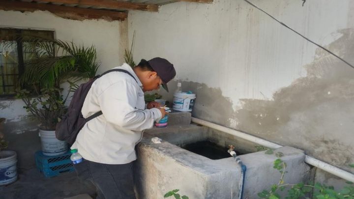 Limpiar patios reduce el riesgo de rickettsia y dengue: Secretaría de Salud en Sonora