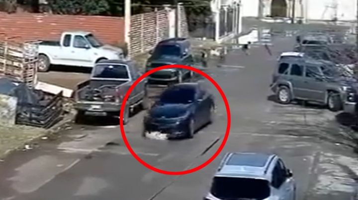 FUERTE VIDEO: Investigan a automovilista que atropelló a varios perros y huyó en Cananea