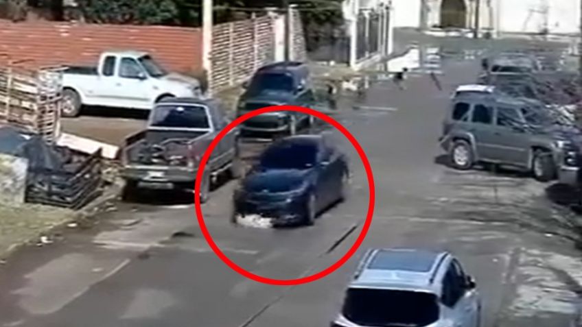 FUERTE VIDEO: Investigan a automovilista que atropelló a varios perros y huyó en Cananea
