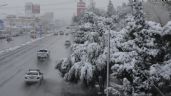Foto ilustrativa de la nota titulada: Clima en México HOY: Conoce los efectos del Frente Frío 27; alerta por LLUVIAS y NEVADAS