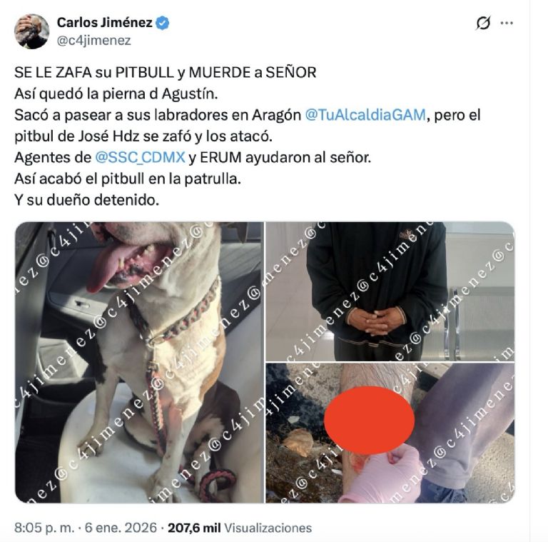 Detienen a dueño de pitbull tras ataque. Foto: Facebook