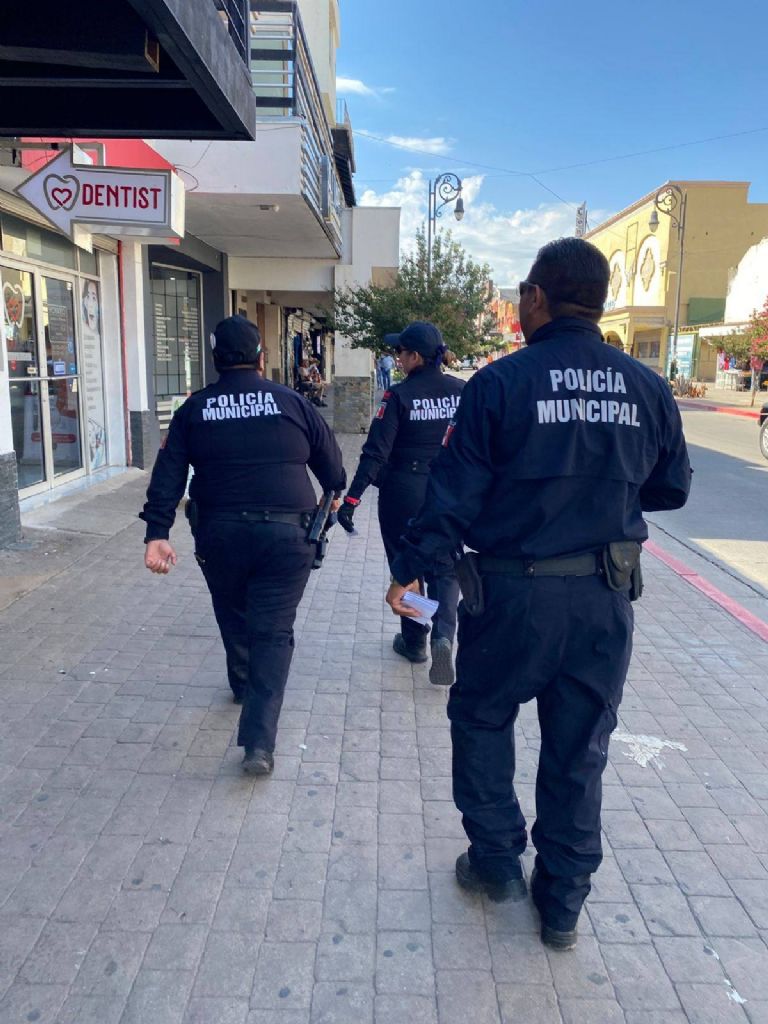 Aumentan casos de ataques de perros 