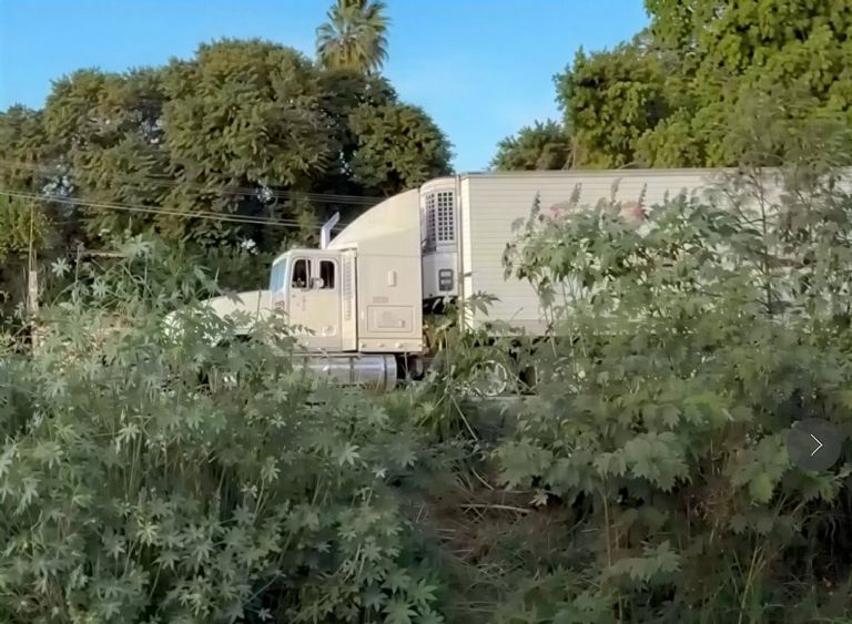 El tráiler involucrado en el accidente de tránsito