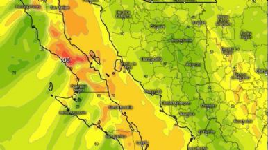Descripción de la imagen