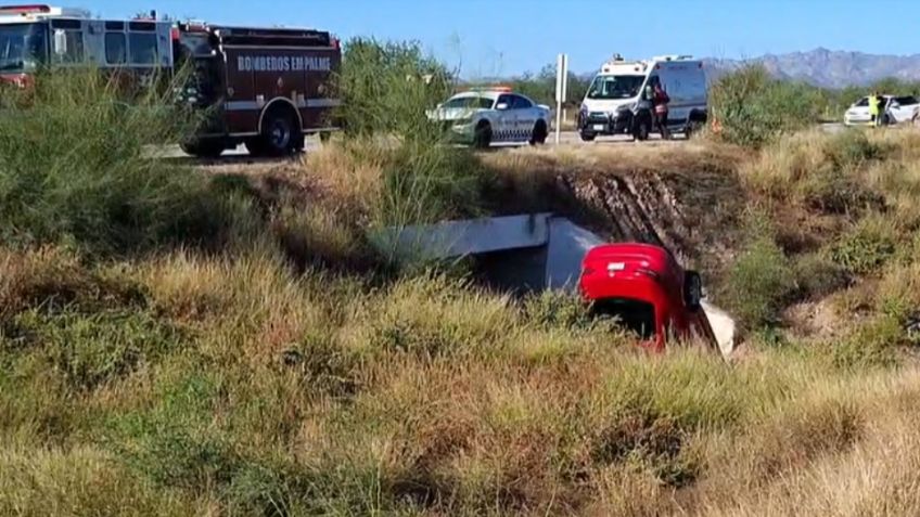 Caballo invade la carretera Guaymas–Ciudad Obregón y provoca un accidente que dejó una persona muerta