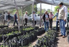 Foto ilustrativa de nota Tras visita de Sheinbaum, llegan a Sonora más de 30mdp para el programa 'Sembrando Vida'