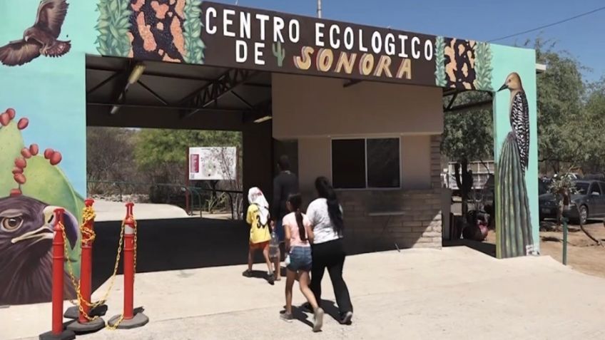 Construirán un acuario en el Centro Ecológico de Sonora; licitarán recursos para la obra