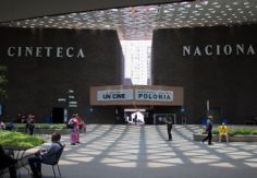 Foto ilustrativa de nota Gobierno de Sheinbaum reacciona a PARO en la Cineteca Nacional por malas condiciones laborales: Esto dijo