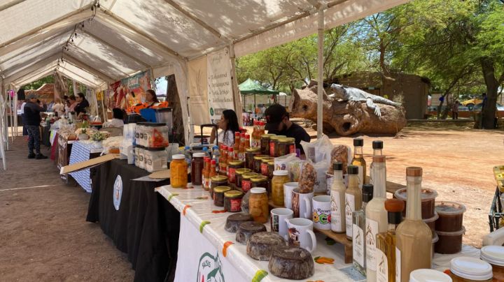 Con éxito se vivió el Coyota Fest 2026 en Cócorit; promocionan gastronomía local y a emprendedores