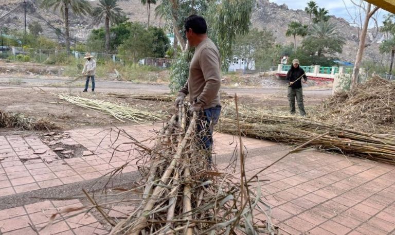Bosque Urbano La Sauceda vive un fin de semana de participación y aprendizaje: Gobierno de Sonora