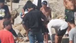 Foto que representa a Tragedia: Delfín varado muere tras ser arrastrado y abierto en playa de Ecuador