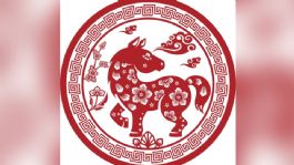 Foto que representa a Horóscopo Chino: Conoce qué es lo que te depara tu signo oriental para este viernes 13 de marzo del 2026