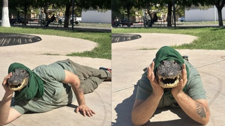 VIDEO: Aparecen therians en Navojoa, Sonora y convocan a reunión masiva en diferentes municipios