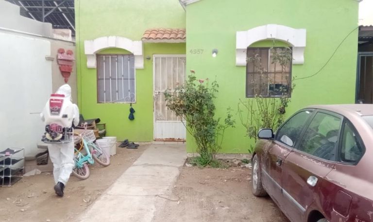 Refuerzan campaña permanente de fumigación para reducir riesgos sanitarios en Agua Prieta