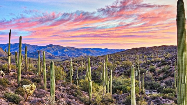 Clima en Sonora: Conagua advierte de cielos parcialmente nublados y ¿lluvias este lunes 2 de febrero?