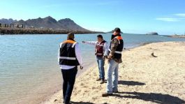 Foto que representa a Playa en Miramar en Guaymas es declarada ya apta para actividad recreativa